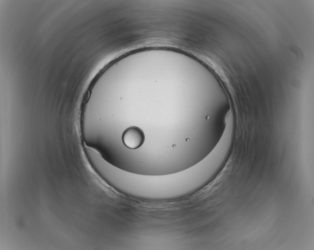 X0000111351342200908071125