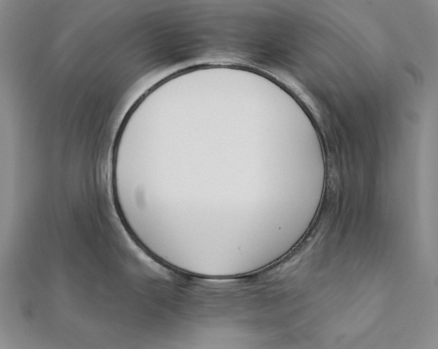 X0000111351343200908071125