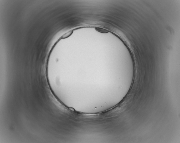 X0000111351344200908071125