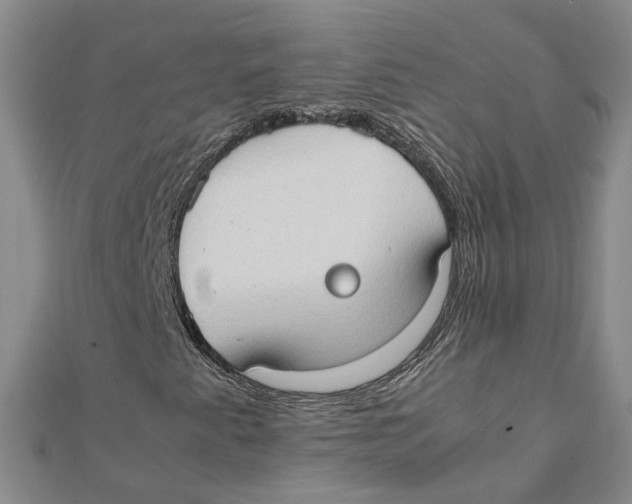 X0000111351345200908071124