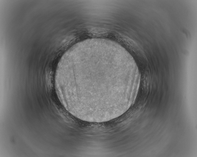 X0000111351346200908071124