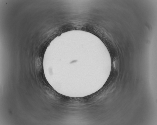 X0000111351347200908071124