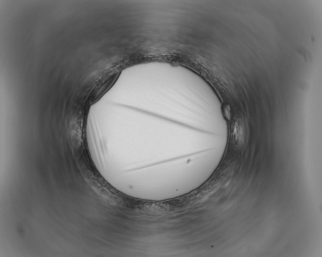 X0000111351348200908071124