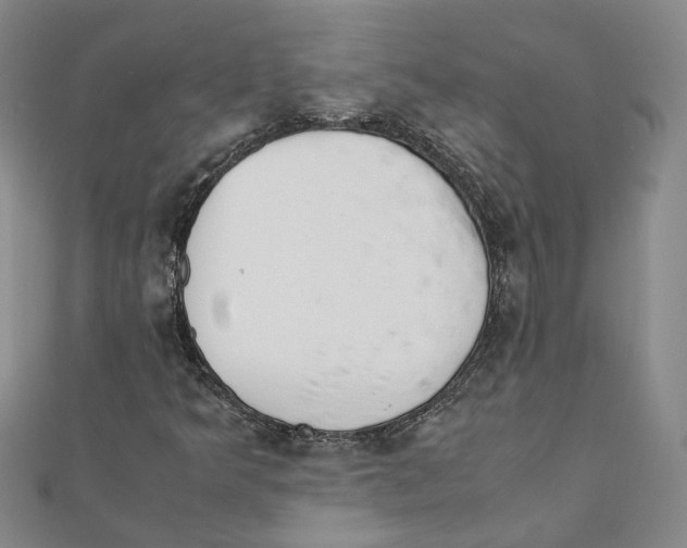 X0000111351349200908071124