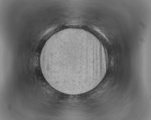 X0000111351350200908071124