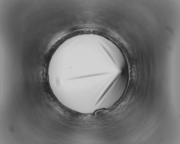 X0000111351352200908071124