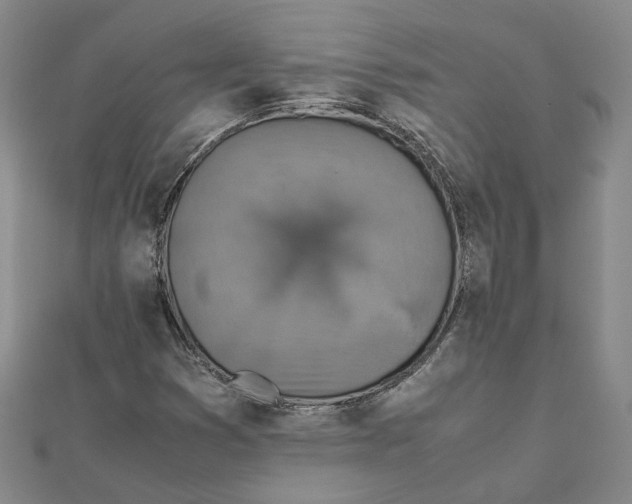 X0000111351353200908071124