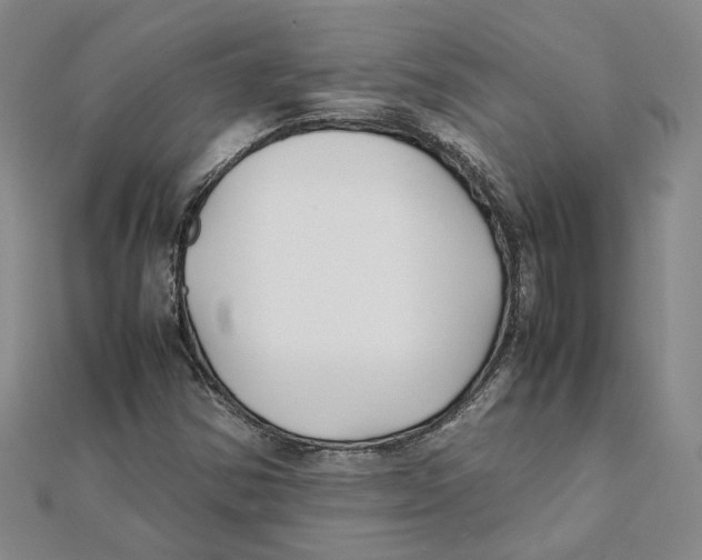 X0000111351354200908071124