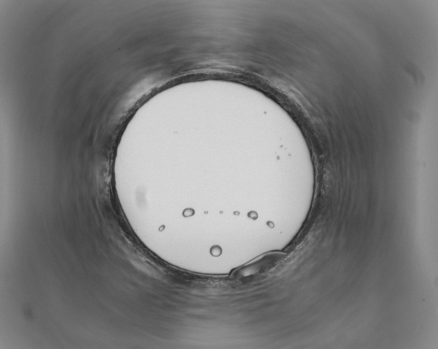 X0000111351355200908071124