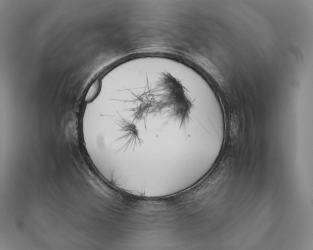 X0000111351356200908071124