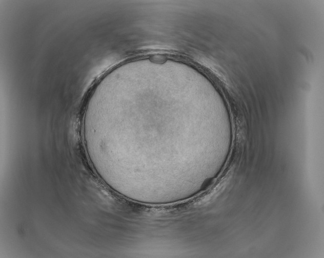 X0000111351357200908071124