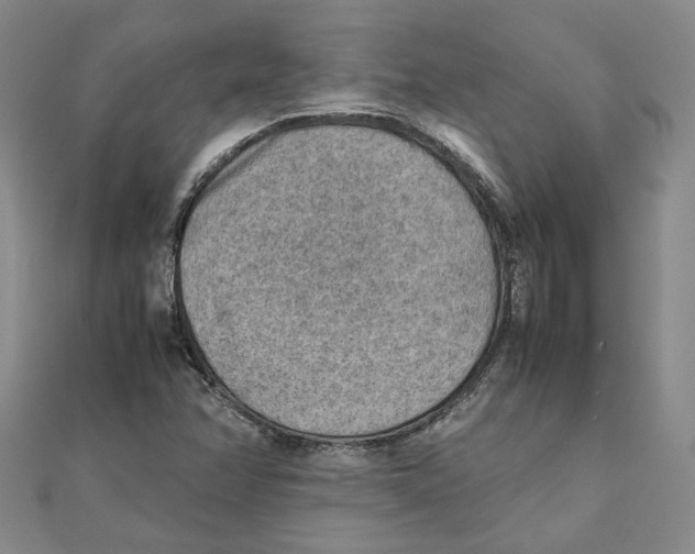 X0000111351358200908071124