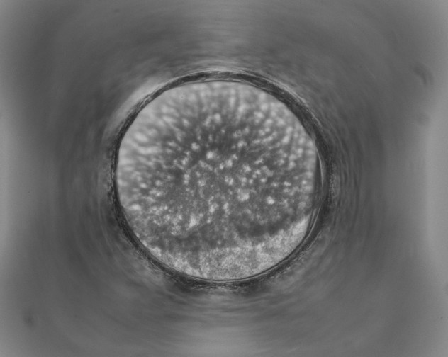 X0000111351359200908071124