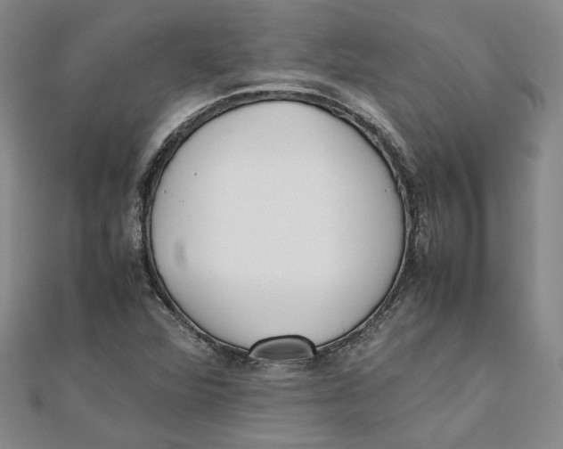 X0000111351360200908071124