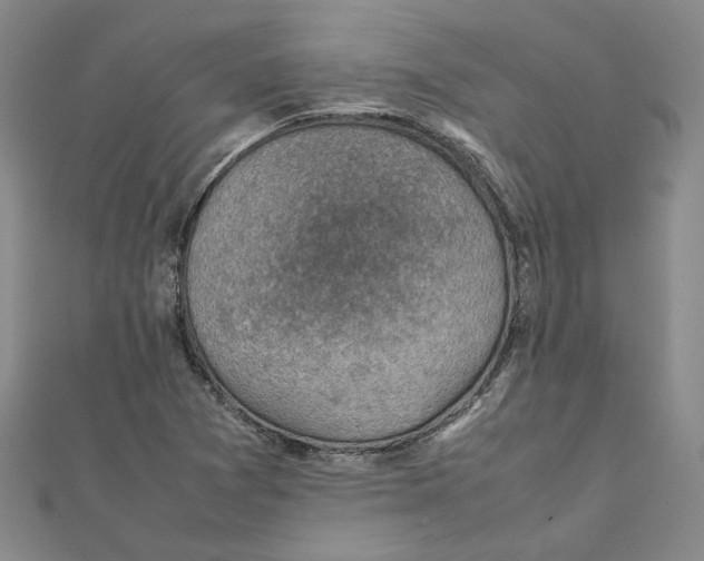 X0000111351361200908071124