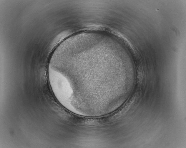 X0000111351362200908071124