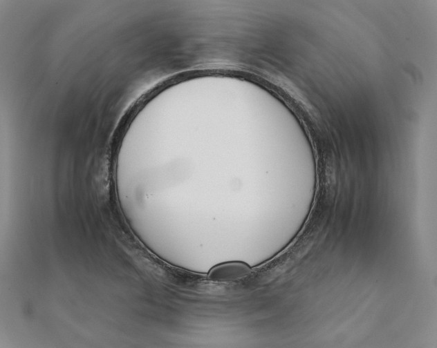 X0000111351364200908071124