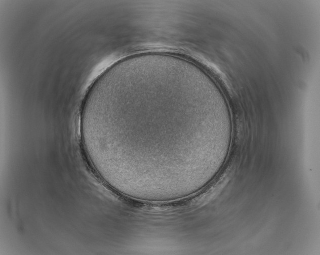 X0000111351365200908071124