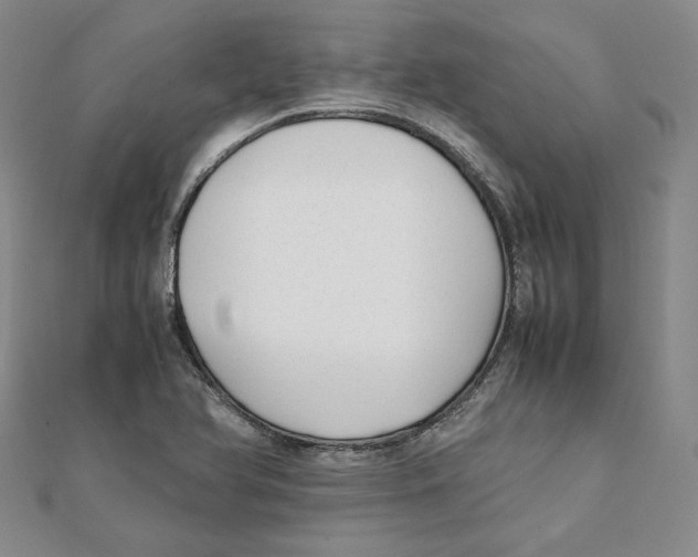 X0000111351366200908071124