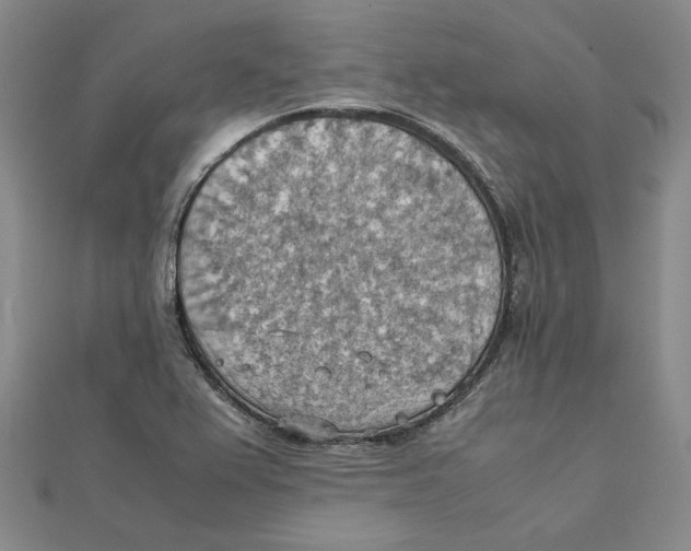 X0000111351367200908071124