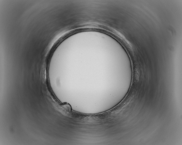 X0000111351368200908071124