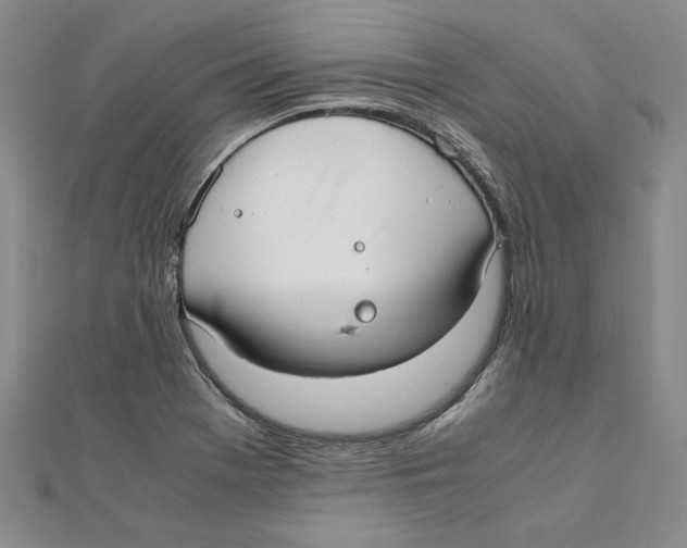 X0000111351369200908071124