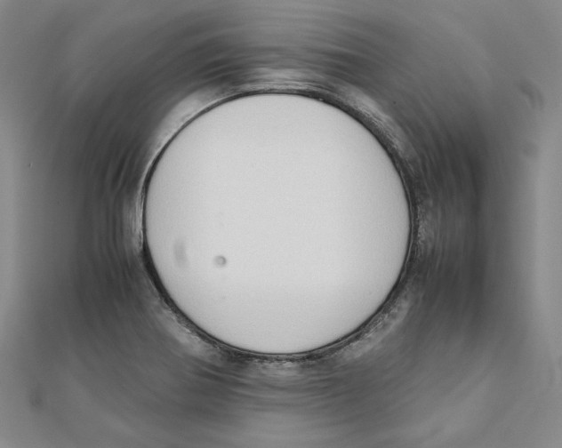 X0000111351370200908071124