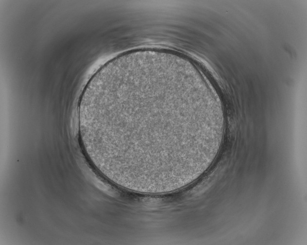 X0000111351371200908071124