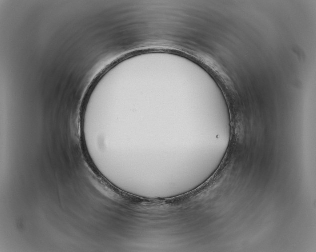 X0000111351372200908071124