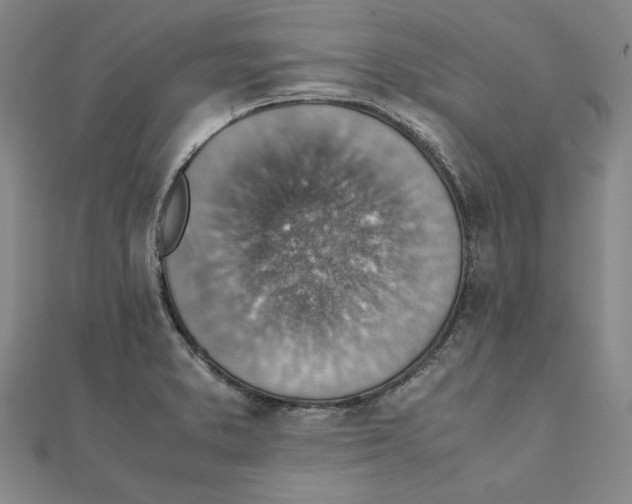 X0000111351373200908071124