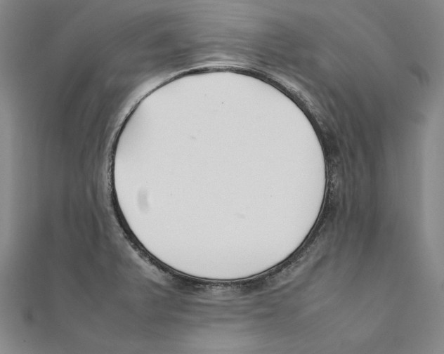 X0000111351375200908071124