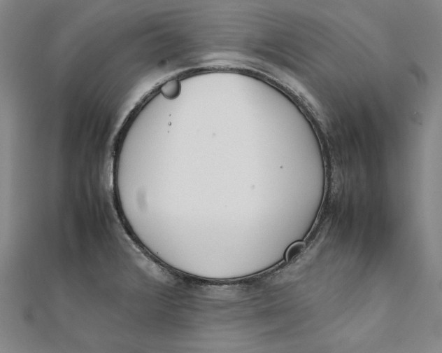 X0000111351376200908071124