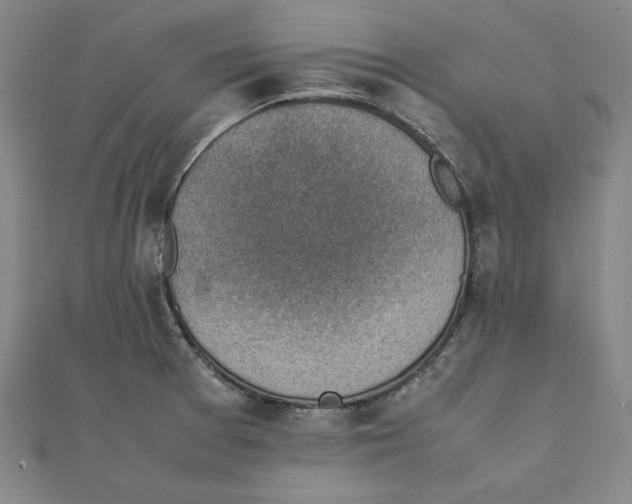 X0000111351377200908071124