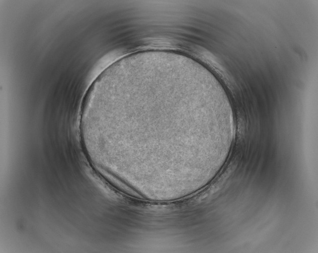 X0000111351378200908071124