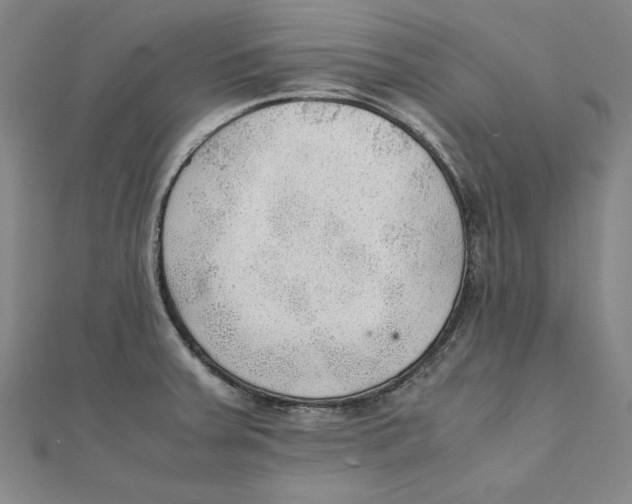 X0000111351379200908071124