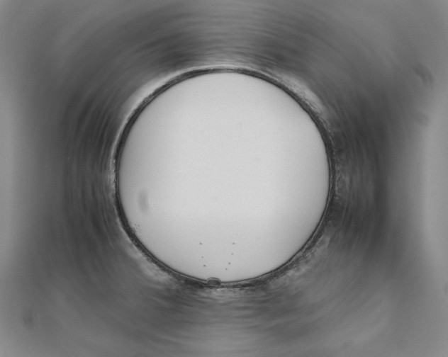 X0000111351380200908071124