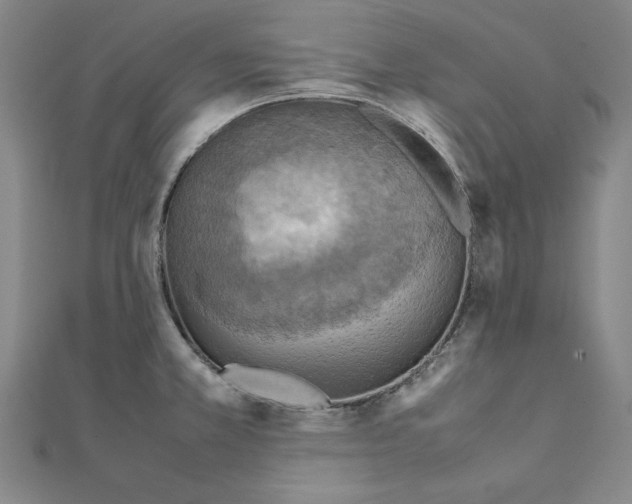 X0000111351381200908071124