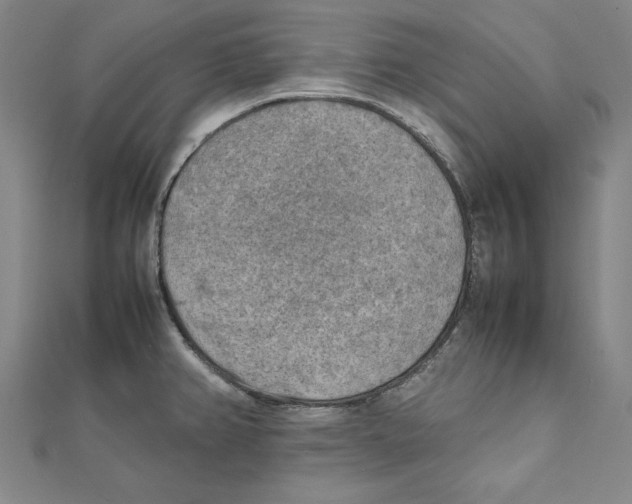 X0000111351382200908071124