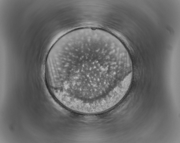 X0000111351383200908071124