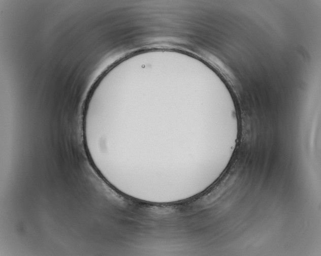 X0000111351384200908071124