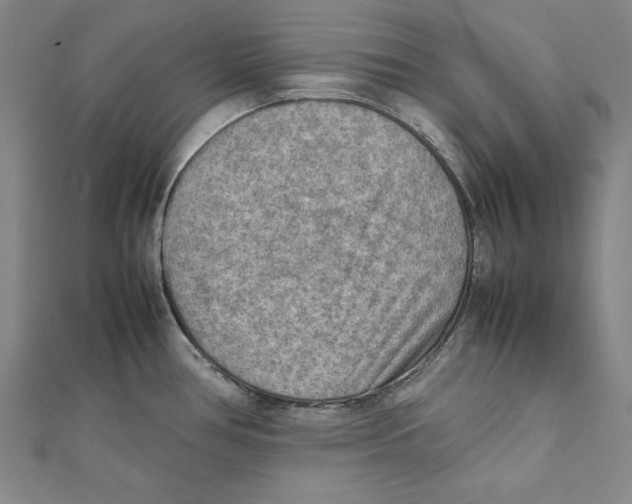 X0000111351386200908071124