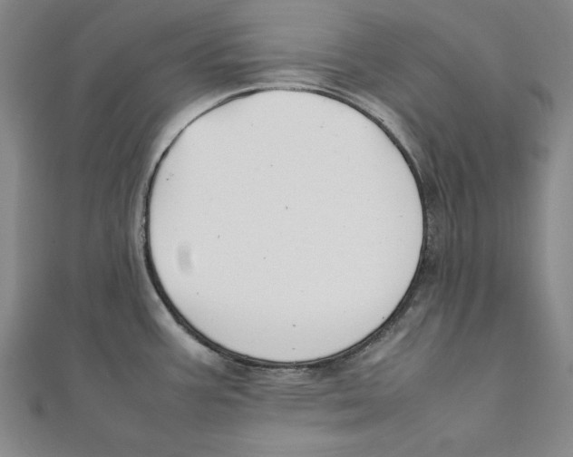 X0000111351387200908071124