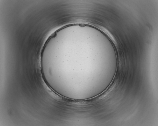 X0000111351388200908071124