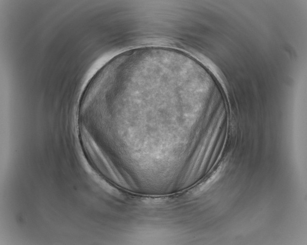 X0000111351389200908071124