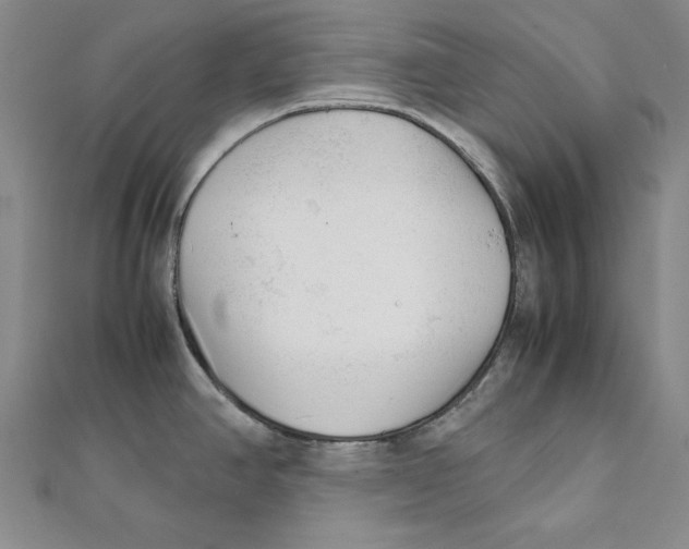 X0000111351390200908071124