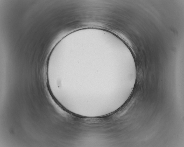 X0000111351391200908071124