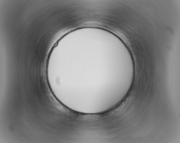 X0000111351392200908071124