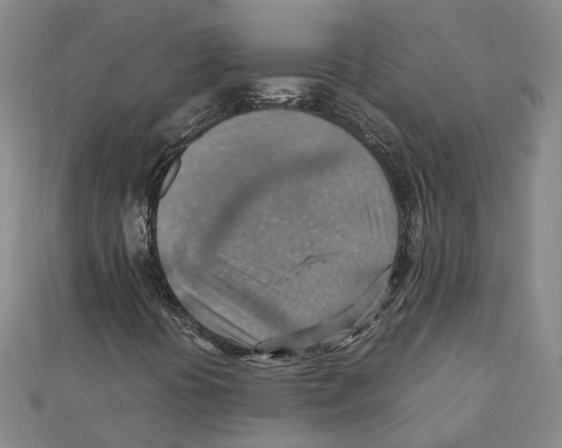 X0000111351394200908071123