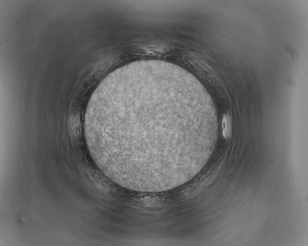 X0000111351395200908071123