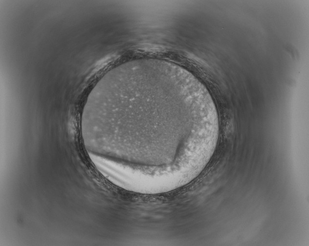 X0000111351397200908071123